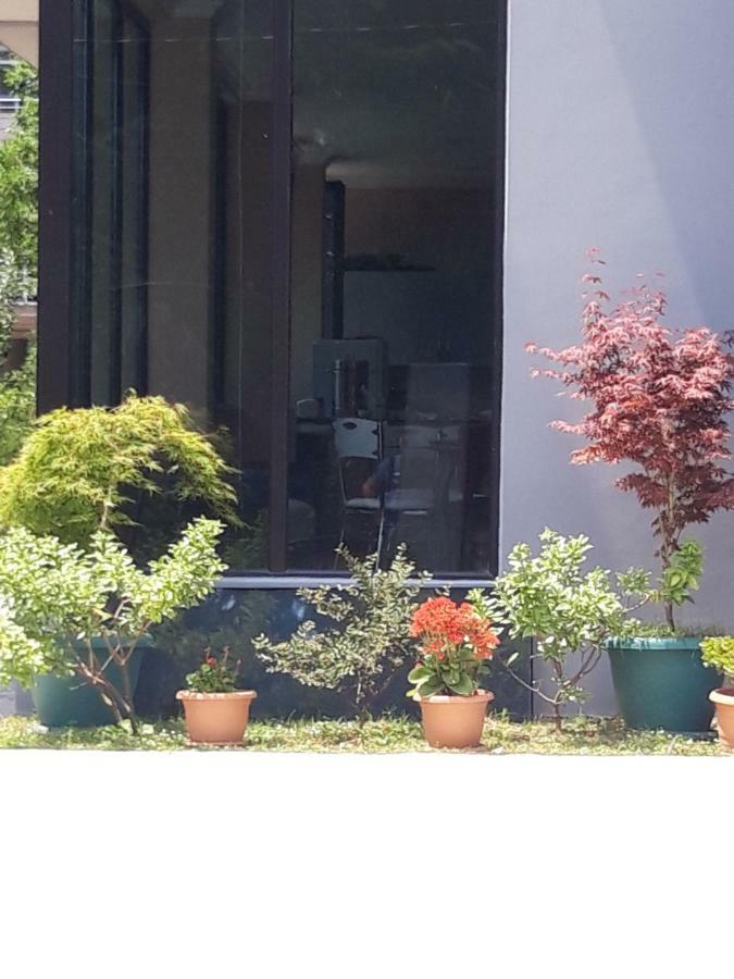 Cozy House Hotel Kobuleti ภายนอก รูปภาพ